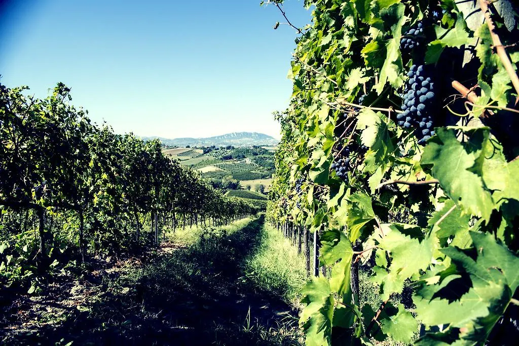 Tenuta Santini Villa Coriano 0*,  Italy